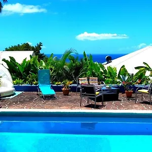 Blue Birds Location Vue Des Caraîbes Appartement