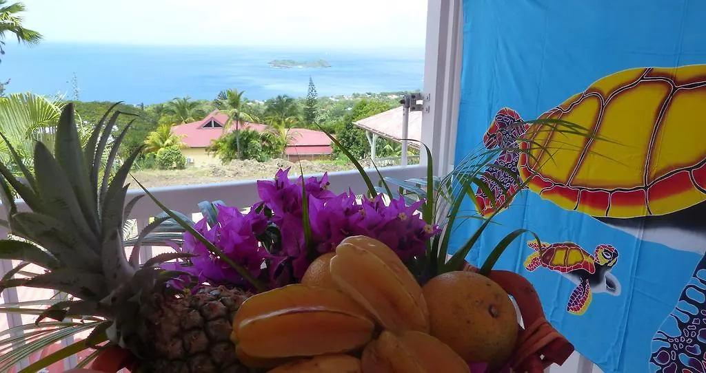 Paradis Creole Hotel Bouillante